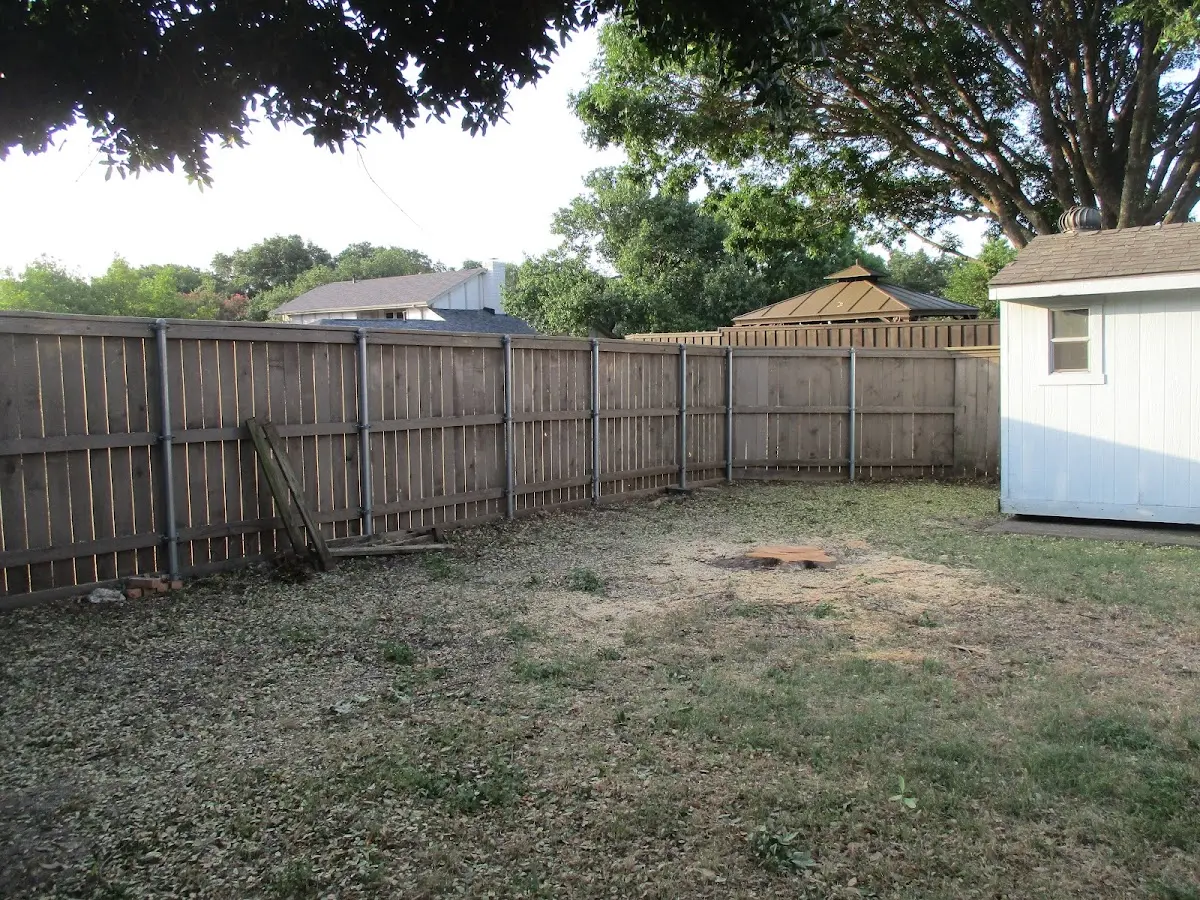 Cleared yard after professional tree removal in Baptistown