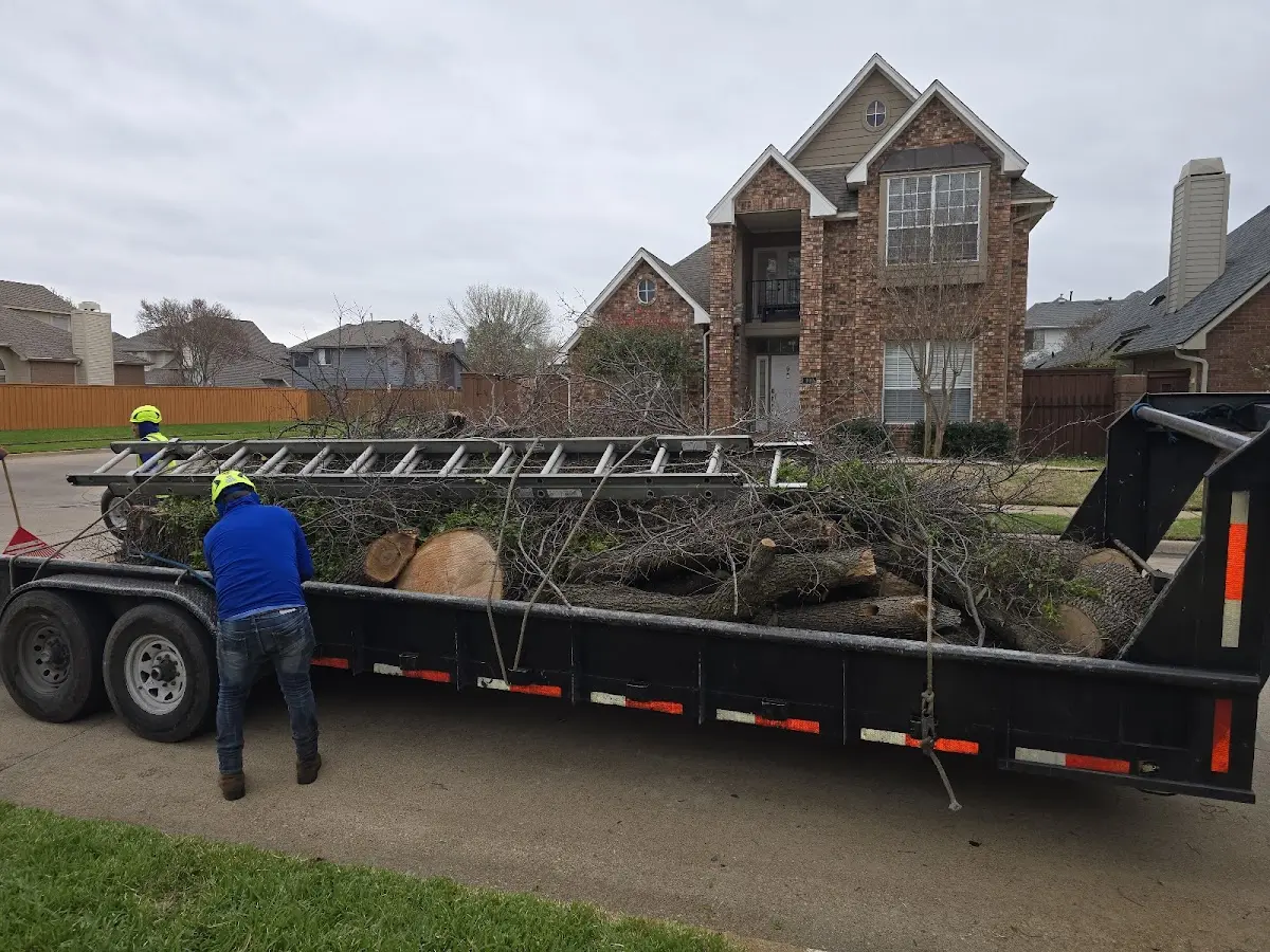 Expert Tree Removal with proper safety equipment in Baptistown